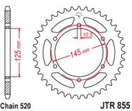 JT Звезда задняя JTR855.48