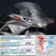 Лобовое стекло VStream N20001 - Honda ST1300 03- и новее