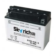 Аккумулятор SKYRICH Y50-N18L-A3